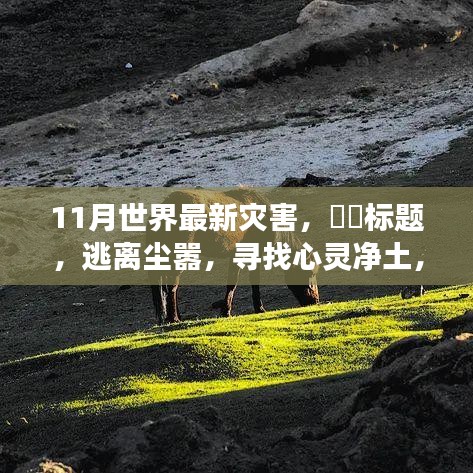 回眸最初 第14页