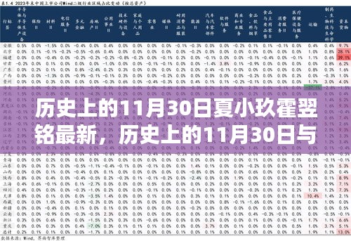 历史上的11月30日与夏小玖霍翌铭，深度解读与最新观点阐述