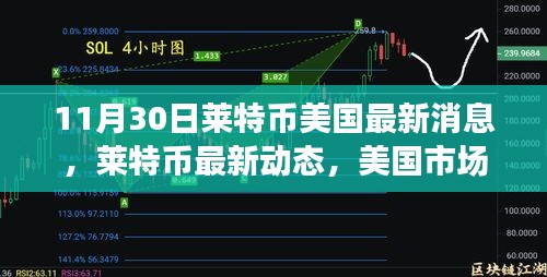 莱特币美国最新动态分析，市场趋势下的正反观点探讨（11月30日）
