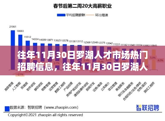 往年11月30日罗湖人才市场热门招聘信息解读与回顾