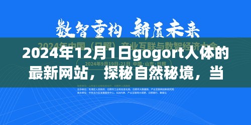 探秘gogort人体奥秘，心灵遇见奇妙旅程的秘境网站（最新更新）