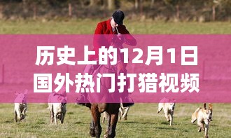 admin 第12页