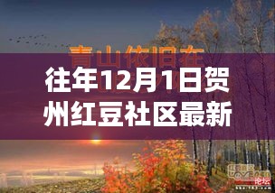 贺州红豆社区往年1月1日最新主题深度评测与介绍
