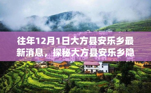 大方县安乐乡特色小店揭秘，旧时光味道馆的最新消息