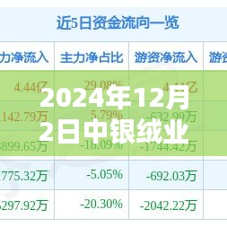 中银绒业最新动态解析，产品特性、用户体验与目标用户群体深度分析（2024年12月）