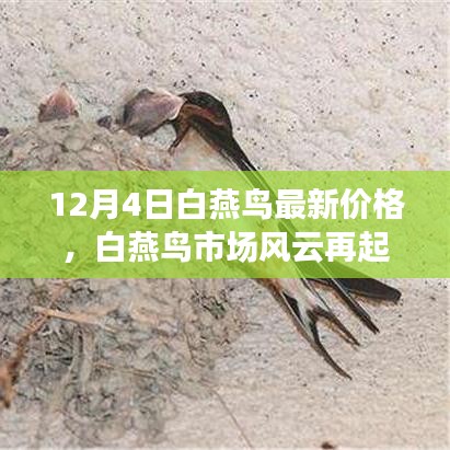 回眸最初 第9页