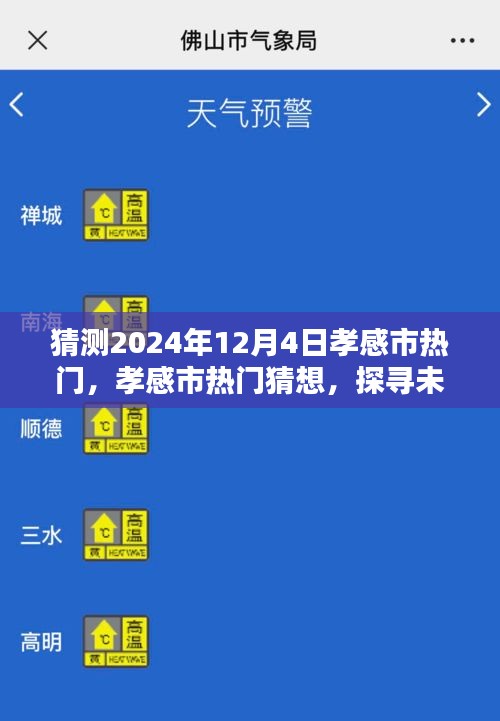探寻孝感市未来魅力风采，2024年12月4日热门猜想与风采展望