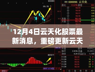 云天化股票最新动态揭秘，市场走势分析与前景展望（12月4日更新）