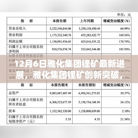 公司概况 第100页