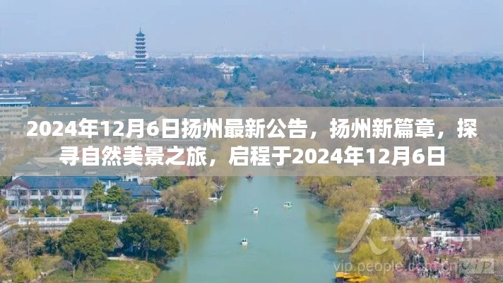 神采奕奕 第5页