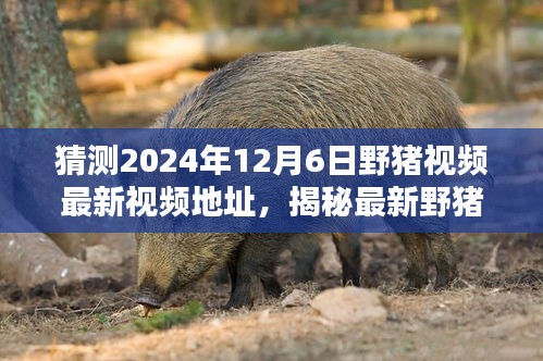 回眸最初 第6页