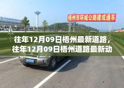 puzhangyangli 第4页