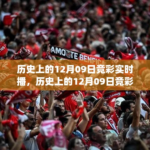 guimaijianmai 第3页