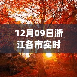 森久 第4页