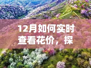 初遇在故事开头 第4页