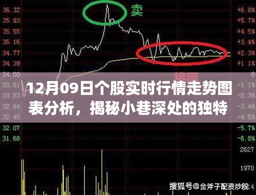 九死一生 第4页