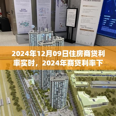 shibigongqing 第3页