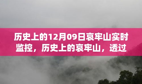 哀牢山历史监控实录，透过实时影像一窥昔日风采