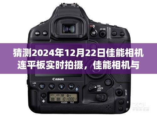 森久 第3页