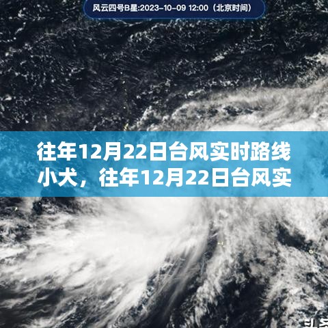 揭秘往年12月22日小犬台风实时路径与深度分析