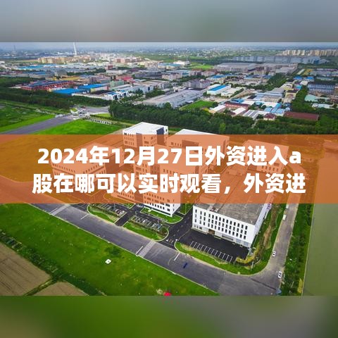 wushirenfei 第3页