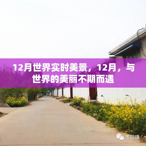 12月世界美景尽收眼底，与全球美丽的不期之约