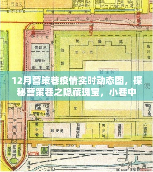 营策巷疫情动态与隐藏瑰宝探索，小巷特色小店实时更新数据报告