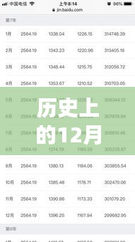 太平实时贷还贷规定深度解析，历史上的12月27日观点阐述
