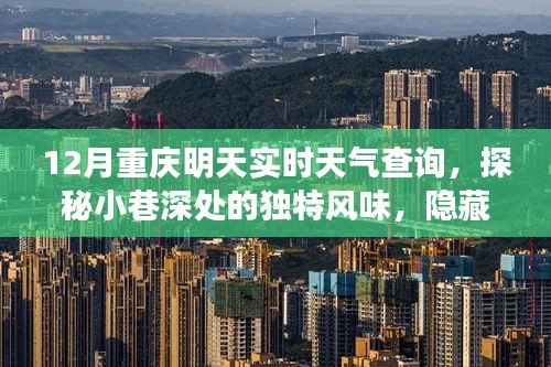 探秘重庆小巷美食，实时天气下的惊喜小店与独特风味