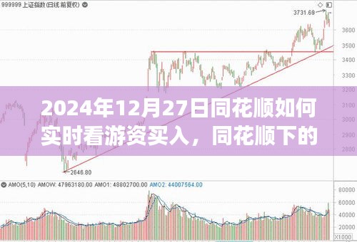 同花顺下的游资买入实时观察，游资背后的故事与股市之旅的启示