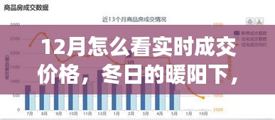 冬阳下的实时成交价格探索之旅，与友共赏奇妙之旅