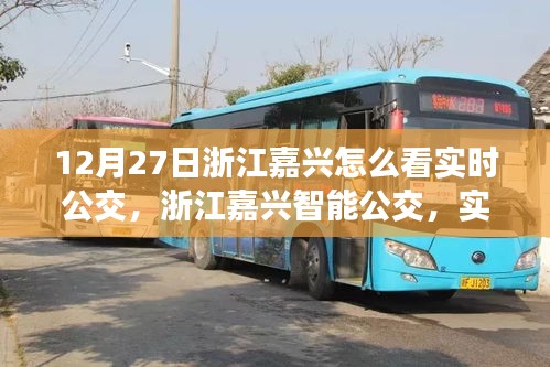 jiaoxiaolinglong 第2页