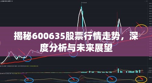 揭秘600635股票行情走势，深度分析与未来展望