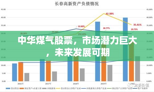 中华煤气股票，市场潜力巨大，未来发展可期