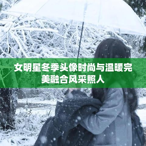 女明星冬季头像时尚与温暖完美融合风采照人