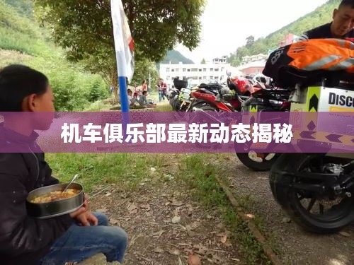 删华就素 第2页