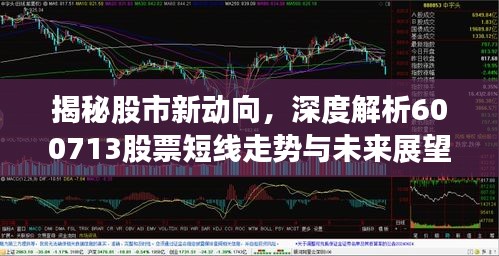揭秘股市新动向，深度解析600713股票短线走势与未来展望