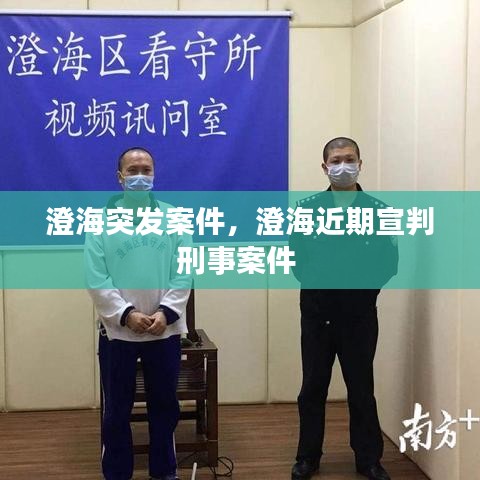 衣不兼彩 第2页
