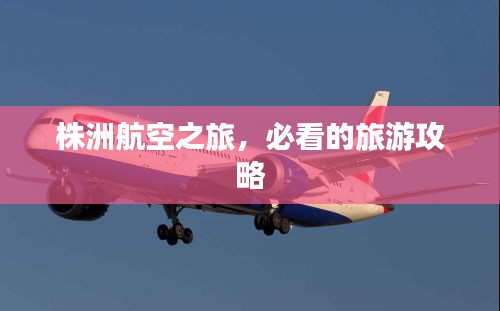 不求甚解 第2页