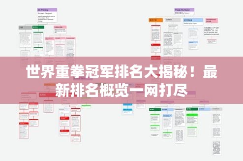 世界重拳冠军排名大揭秘！最新排名概览一网打尽