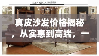 真皮沙发价格揭秘，从实惠到高端，一篇文章全知道！