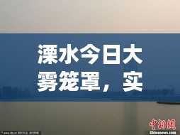 yierbuhua 第2页