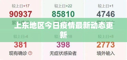 上东地区今日疫情最新动态更新