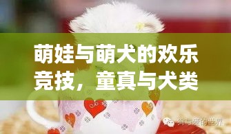 萌娃与萌犬的欢乐竞技，童真与犬类互动的美好瞬间视频