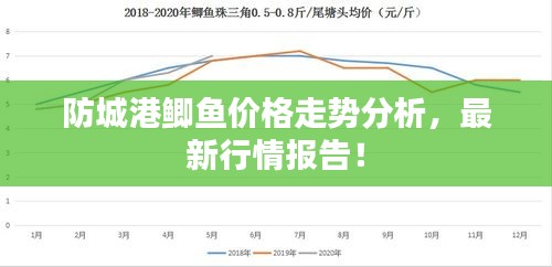 防城港鲫鱼价格走势分析，最新行情报告！