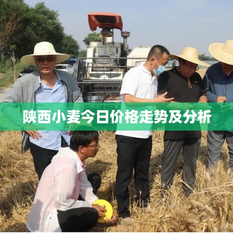 心急如焚 第2页