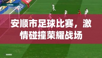 安顺市足球比赛，激情碰撞荣耀战场