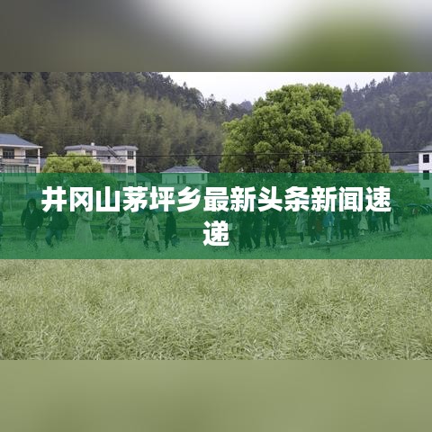 井冈山茅坪乡最新头条新闻速递