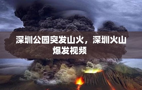 第455页