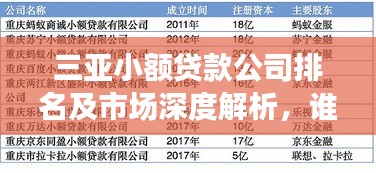 三亚小额贷款公司排名及市场深度解析，谁是行业佼佼者？